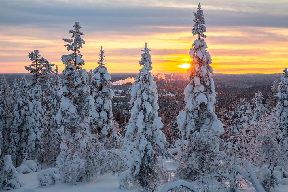 Finlandia, zimowy krajobraz w okolicach Saariselka